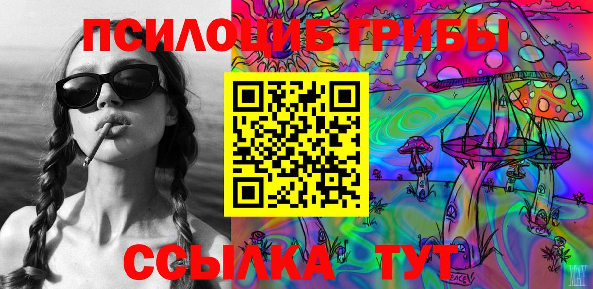 Псилоцибиновые грибы мицелий Ангарск