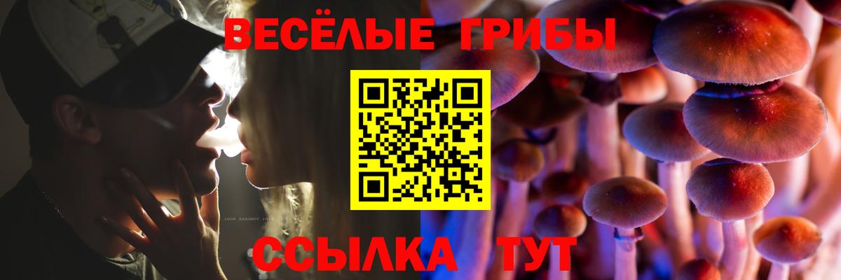 Ангарск  Галлюциногенные грибы прущие грибы  Вход с VPN 